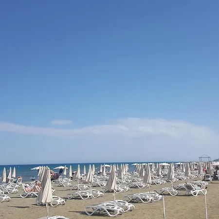 Ithaki Phinikoudes No. 106 * Larnaca